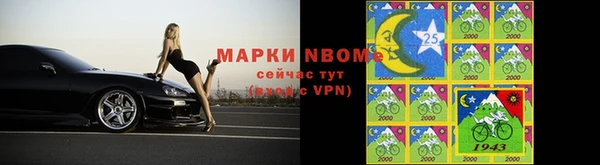 шишки Алзамай