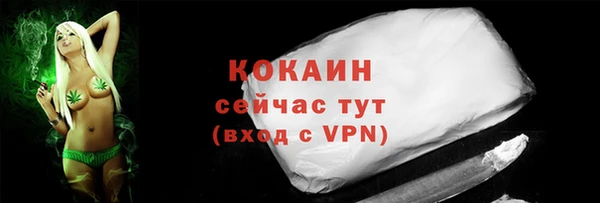 молекула духа Покачи
