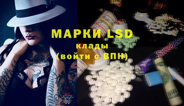шишки Алзамай