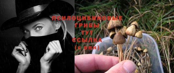 шишки Алзамай