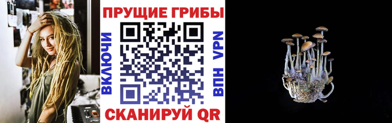 купить наркоту  Хвалынск  Псилоцибиновые грибы мухоморы 